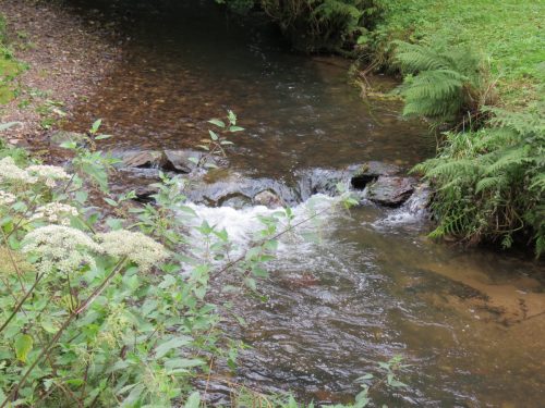 13.-Flowing-through-the-grounds-of-Manor-Mill