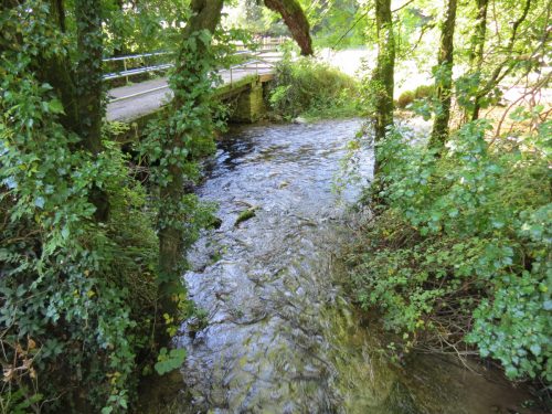 13.-Larcombe-Brook-joins-the-River-Exe-3