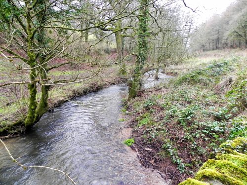 13.-Looking-downstream-from-Batherm-Bridge-2