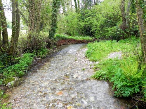 13.-Looking-downstream-from-Cameron-Cottage-bridge-2