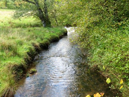 13.-Looking-downstream-from-Combe-Bridge-2