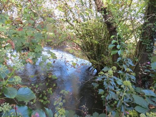 13.-Looking-downstream-from-Cothay-ROW-Footbridge-No.-5261