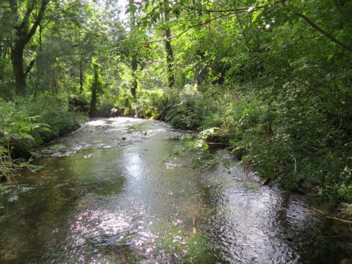 13.-Looking-downstream-from-West-Deane-Way-Footbridge-A-2