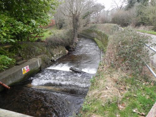 13.-Looking-downstream-from-West-Luccombe-Flow-Measuring-Station