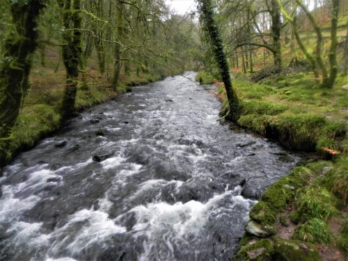 13.-Looking-upstream-from-Castle-bridge-2
