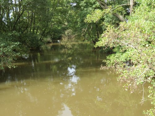 13.-Looking-upstream-from-Weirfield-Riverside-bridge