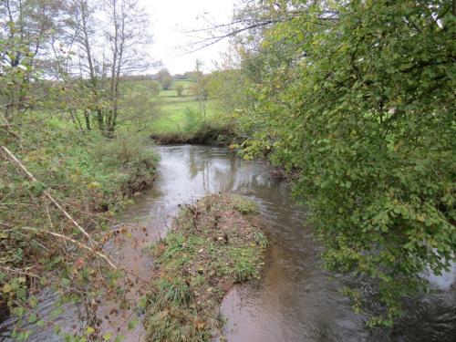 13.-Looking-upstream-from-Wellisford-Bridge