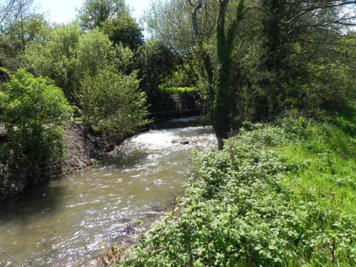 13.-Looking-upstream-to-Torr-Fishery-Weir