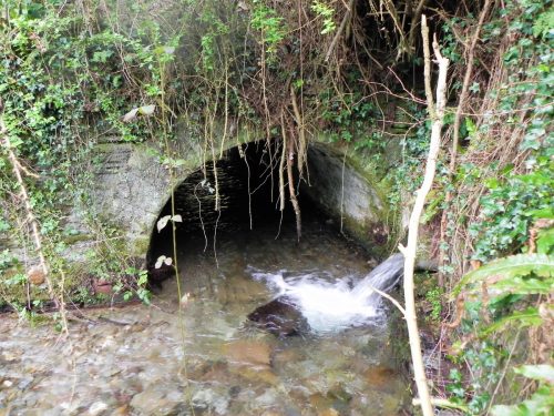 13.-Pit-Wood-culvert-inlet-2