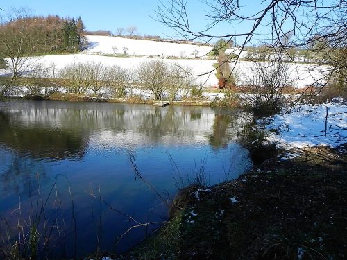 13.-Pond-upstream-from-Westermill-Farm-2