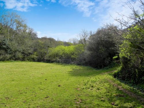 13.-Tivington-Knowle-headstream-source-2