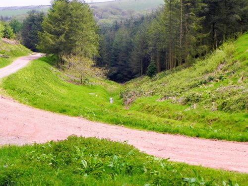 13.-Track-culvert-2