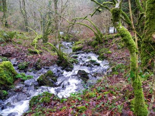 13.-Tributary-Stream-near-Mounsey-Castle-2