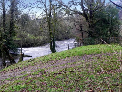 13.-Upstream-from-Dulverton-Bridge-2