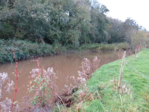 13.-Upstream-from-Hornshay-Weir-2