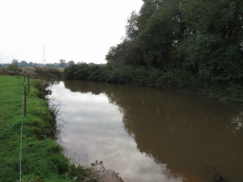 13.-Upstream-from-Hornshay-Weir-3
