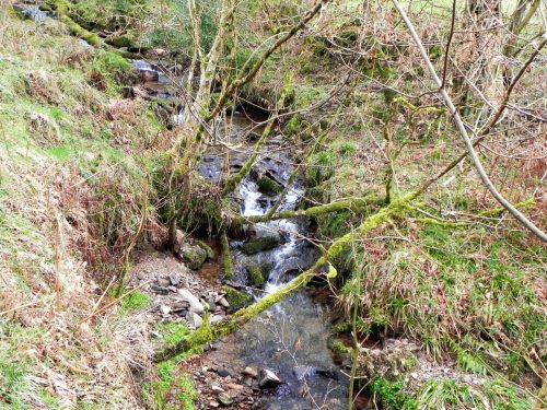 13.-Upstream-from-River-Avill-2