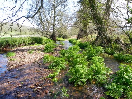 13.-Upstream-from-Water-Quality-Station-2