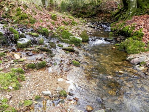 13.-Waters-join-from-Langham-2