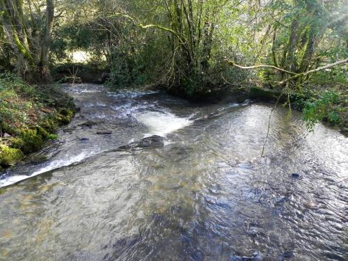13.-Weir-downstream-from-ROW-Bridge-5540-2