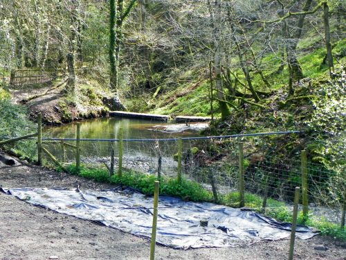 130.-Hawkcombe-Weir-2