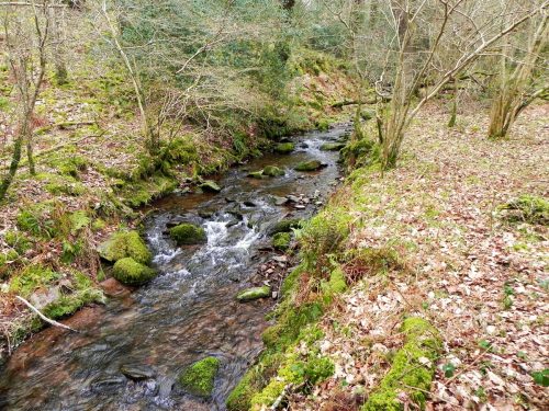 131.-Upstream-from-confluence-with-Horner-Water-2