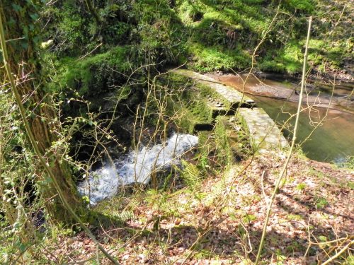 132.-Hawkcombe-Weir-2
