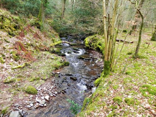 132.-Upstream-from-confluence-with-Horner-Water-2