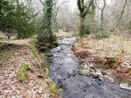 133.-Confluence-with-Horner-Water-3