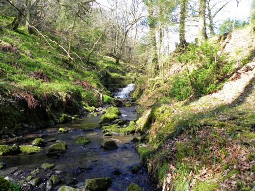 133.-Hawkcombe-Weir-2