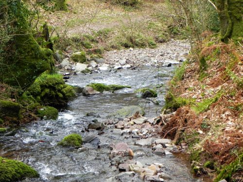 134.-Confluence-with-Horner-Water-2