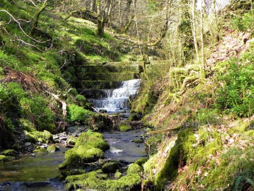 134.-Hawkcombe-Weir-2