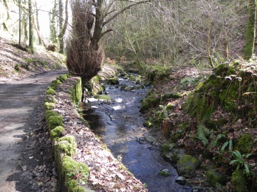 135.-Downstream-from-Hawkcombe-Weir