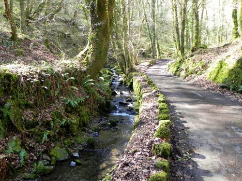 136.-Downstream-from-Hawkcombe-Weir-2