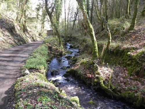 137.-Downstream-from-Hawkcombe-Weir