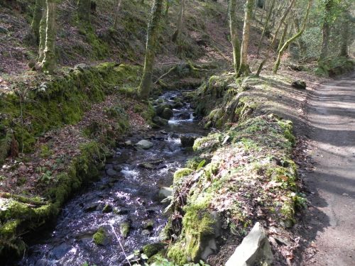 138.-Downstream-from-Hawkcombe-Weir