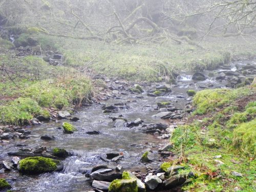 14-Waters-join-from-Sweetworthy-Combe-2