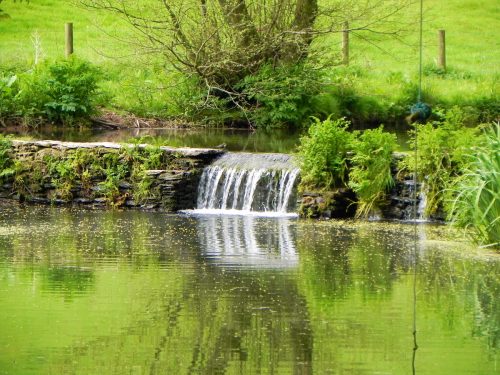 14.-Chargot-House-pond-weir-3