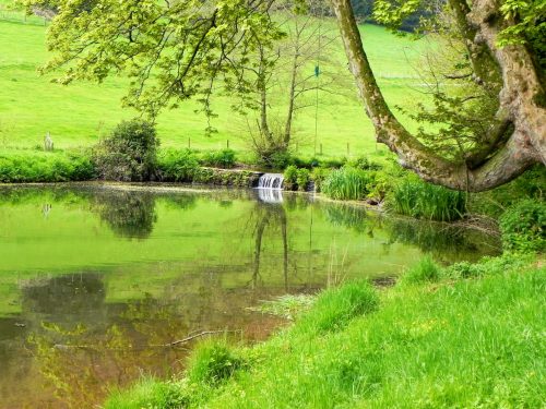 14.-Chargot-House-pond-weir-4