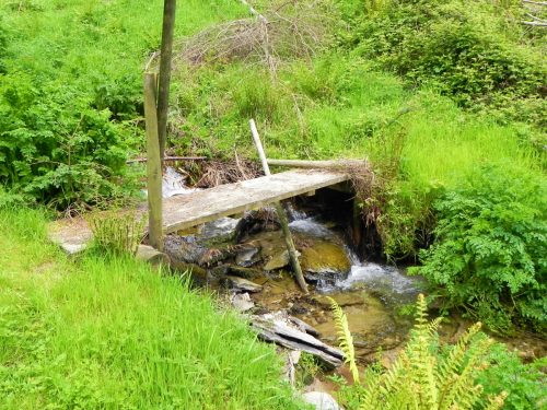 14.-Chargot-Woods-footbridge-2