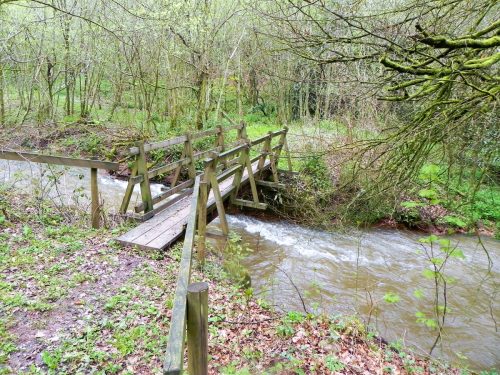 14.-Cleeve-Copse-ROW-Bridge-2