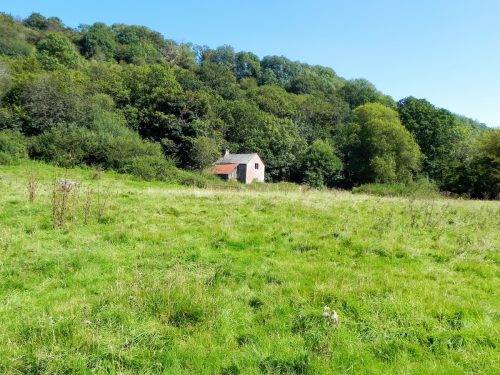 14.-Desrted-cottage-near-Tuck-Mill-2