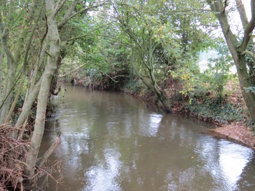 14.-Downstream-from-Bradford-Mill-1