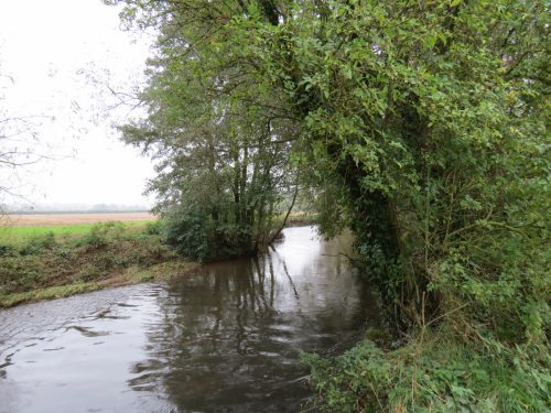 14.-Downstream-from-Bradford-Mill-10