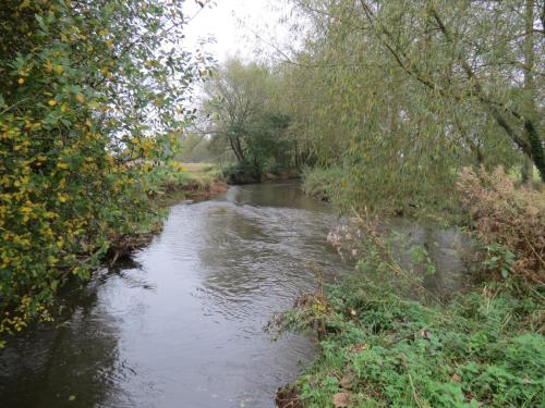 14.-Downstream-from-Bradford-Mill-11