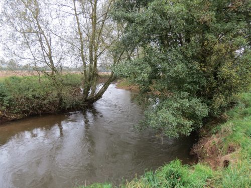 14.-Downstream-from-Bradford-Mill-12