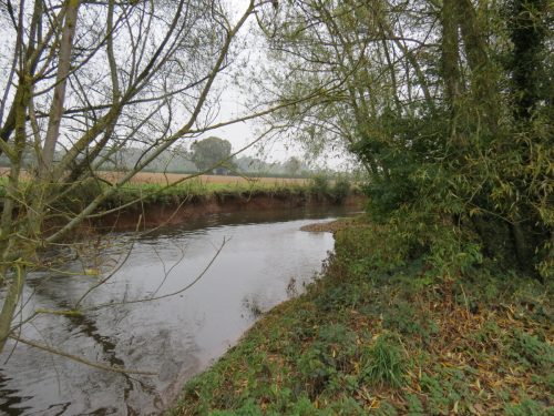 14.-Downstream-from-Bradford-Mill-13