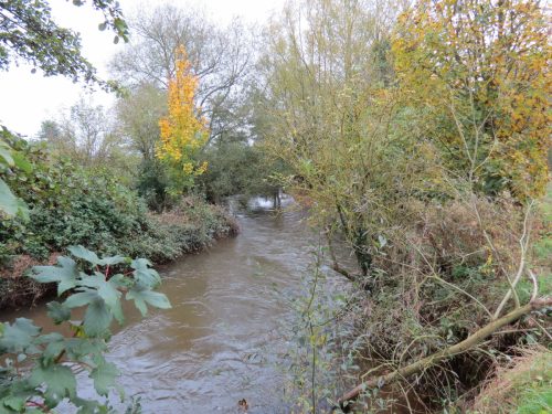 14.-Downstream-from-Bradford-Mill-14