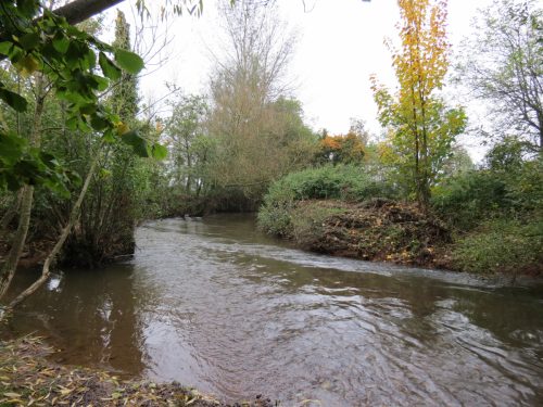 14.-Downstream-from-Bradford-Mill-15