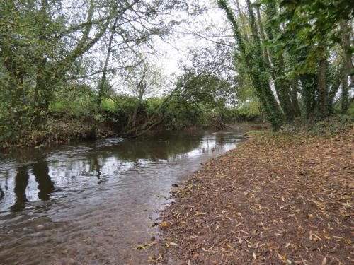 14.-Downstream-from-Bradford-Mill-16